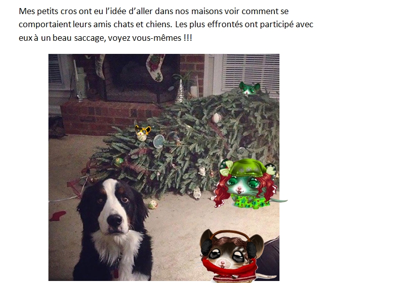 Le Cromimi-Nut n° 45 Edition spéciale Noël 328467cronoelp1