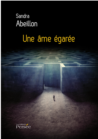 Une âme égarée, de Sandra Abeillon 329454ame