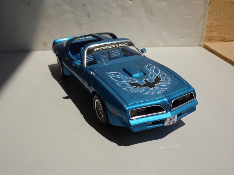 Pontiac Trans-am '78 -1000 jours- 329597SAM7159