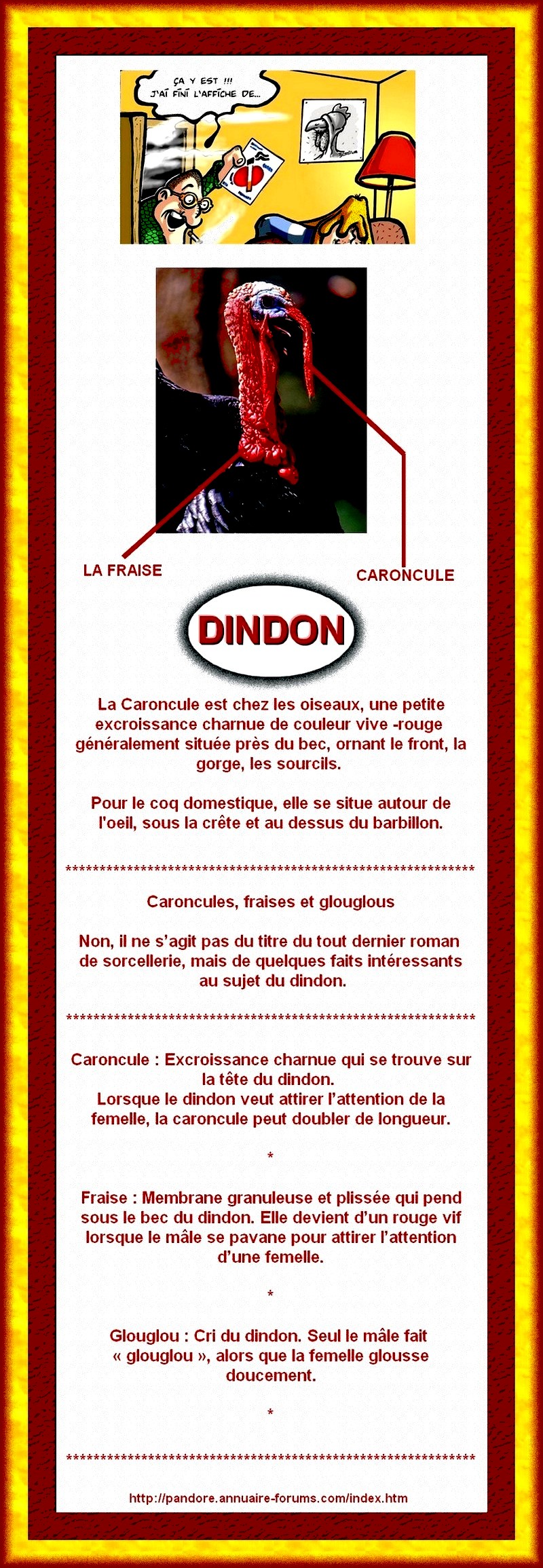 DINDON  -  LA CARONCULE  -  LA FRAISE  -  GLOUGLOU 329802022