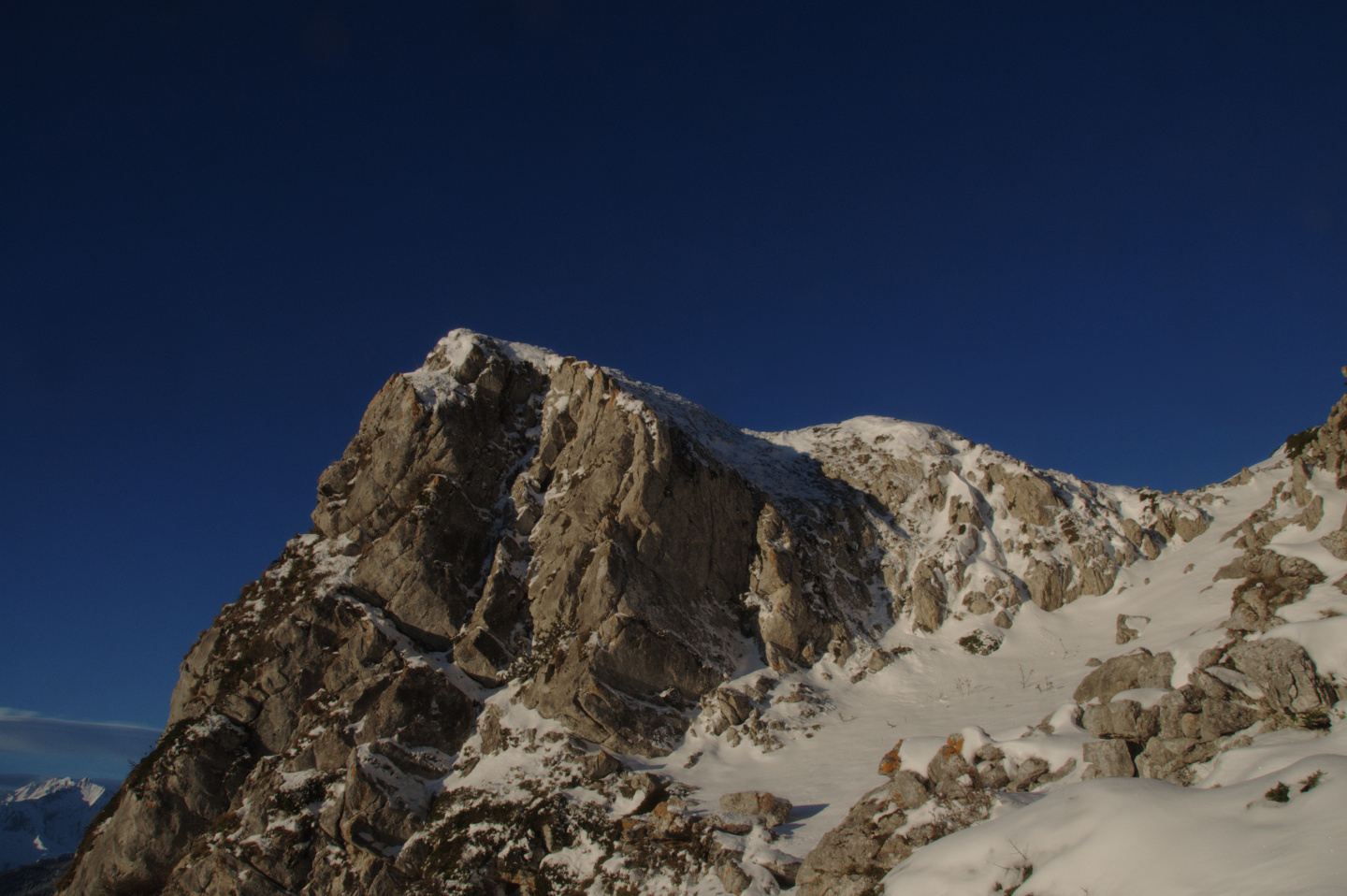 Une vie pyrénéenne de labrit des pyrénées - Page 17 331252and0810