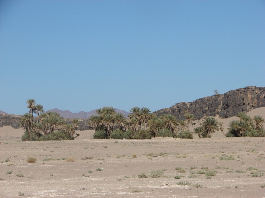 Le Grand Sud du Maroc - II 331407120