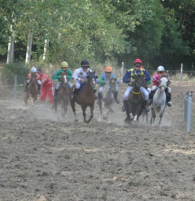 courses de poneys en bretagne 331458DSC00763