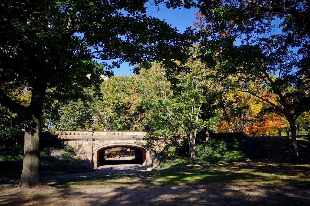 Un dimanche à Central Park (part I) 33381520102013IMGP9409x1024