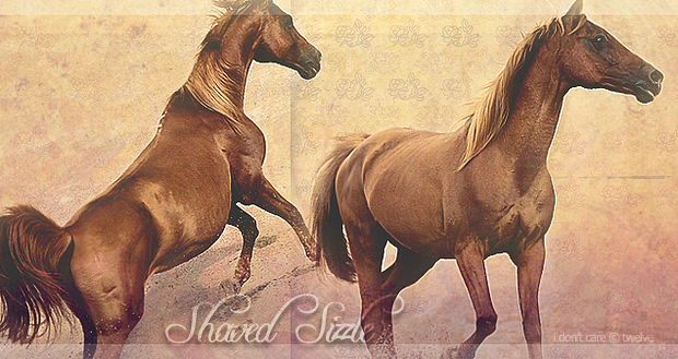 ♦ Chevaux alezans. 333910untruth2