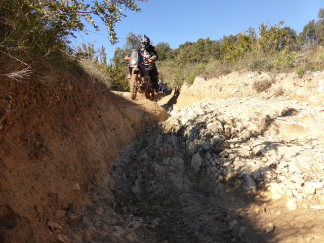 hard - CR Hard Hérault Tour 2016 : la balade à BUBU, des pistes de mort pour la Toussaint ! 335328HHT21