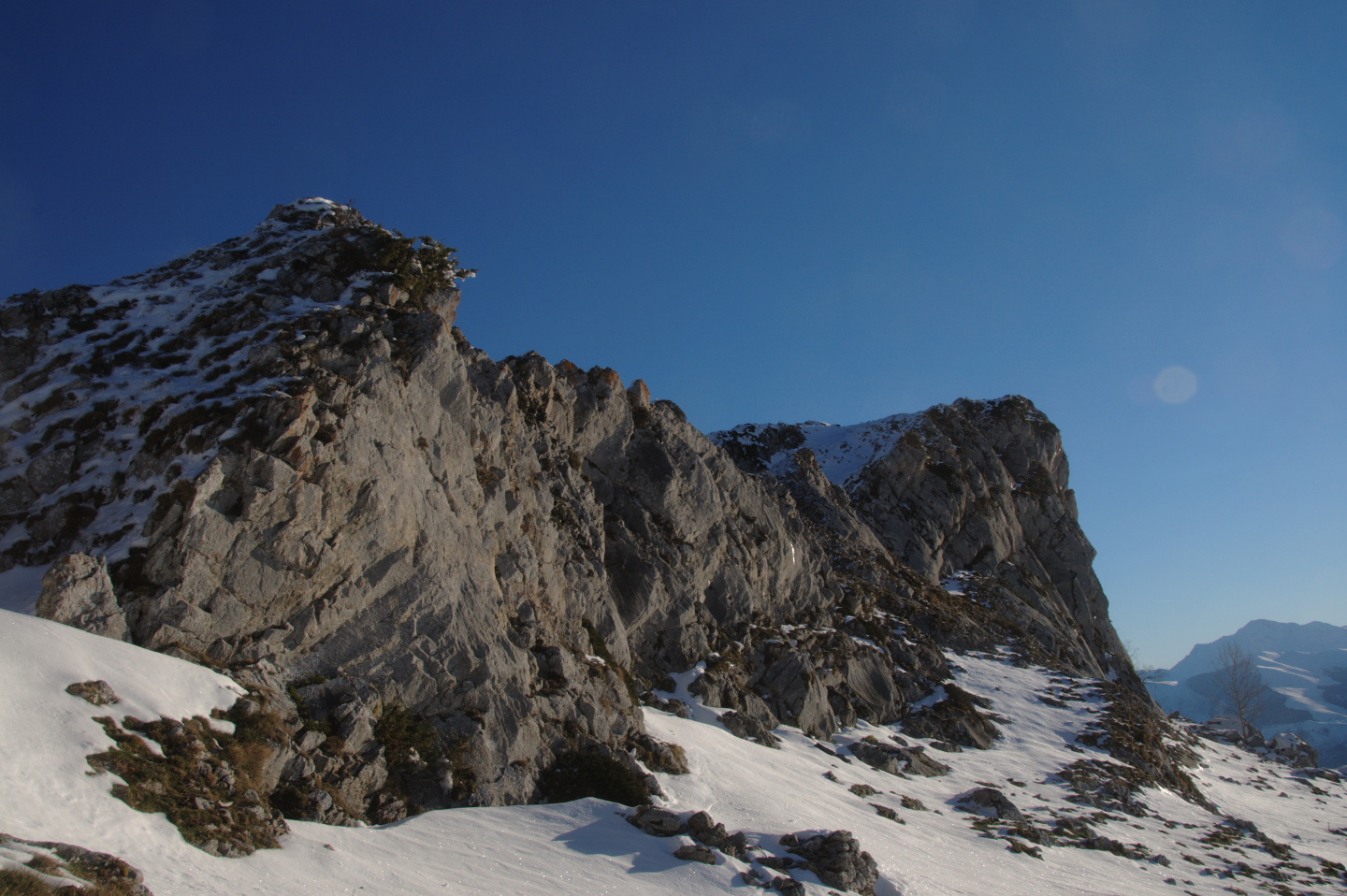 Une vie pyrénéenne de labrit des pyrénées - Page 17 335636and0834