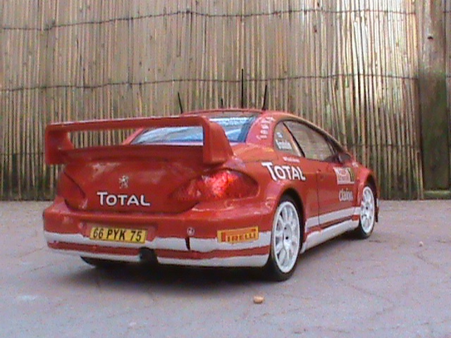 peugeot 307 wrc  336671Photo2288