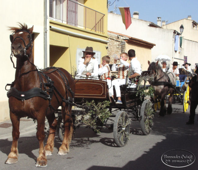 Cavalcade de Nans les Pins (Var) 2013 3374514215