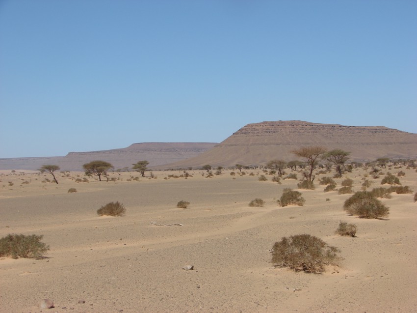 Le Grand Sud du Maroc - II 338124093