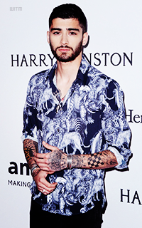 ✽ Giulia's display 339103zayn4