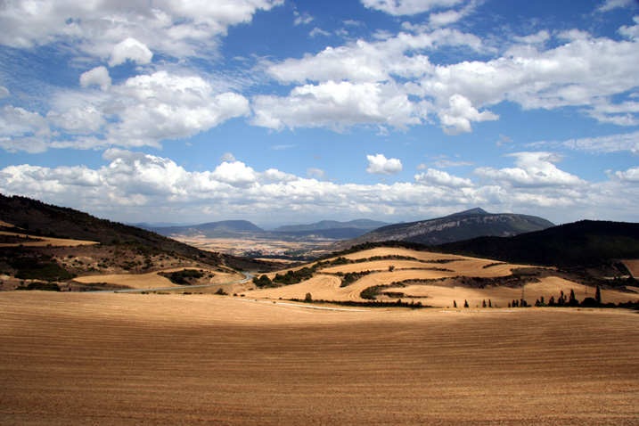 L’Andalousie des champs ( quoi que ! ) 3448521087paysagecralier