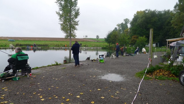 peche truite du 30 septembre 2017 34891530sept3