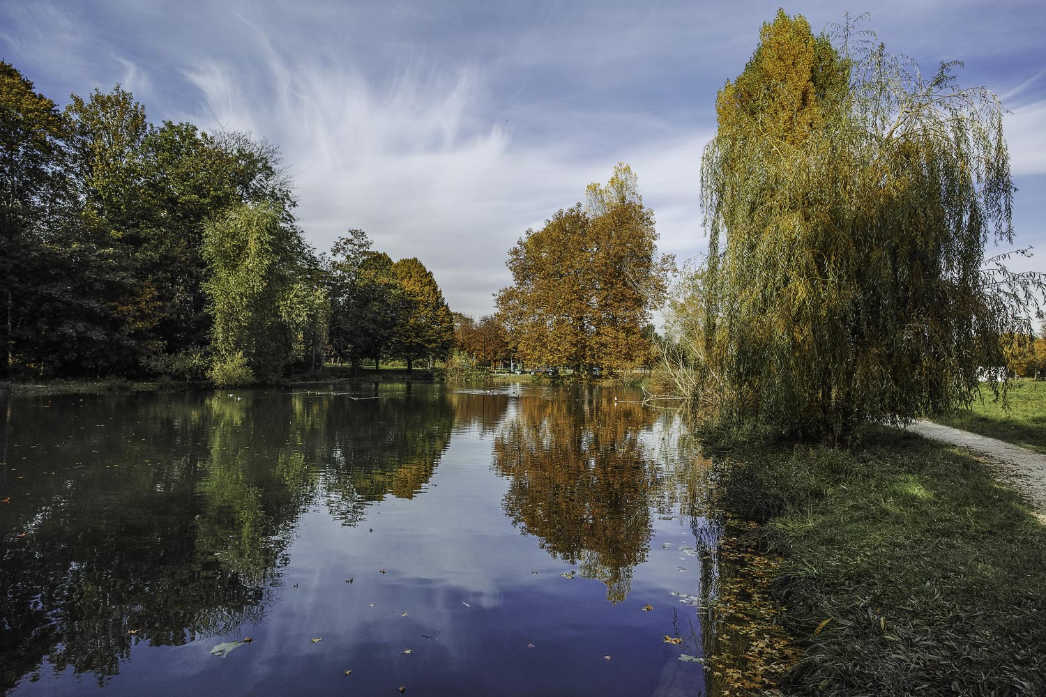 L'automne au bois (suite maj du 18/11) 351108DP0Q5703