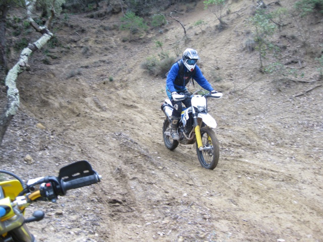 sorti enduro/trial dans le gard le 15 fevrier  - Page 3 352511IMG2068