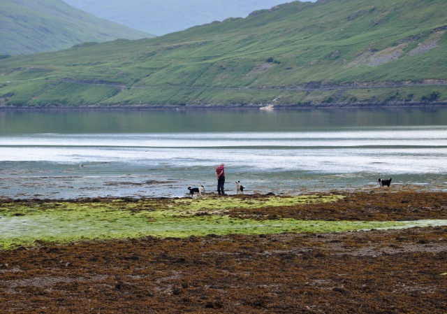 IRLANDE 354658DSC0228