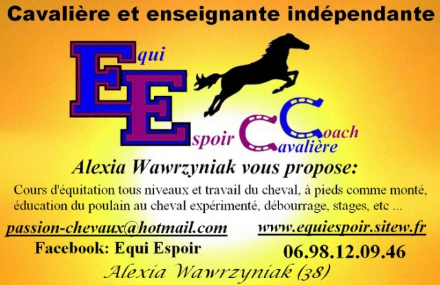 Cavalière et enseignante indépendante (La Côte St André) 355051net