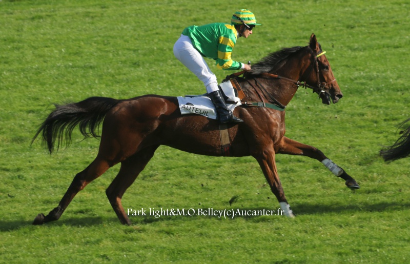 Photos Auteuil 9-10-2016 3558705J6A7894