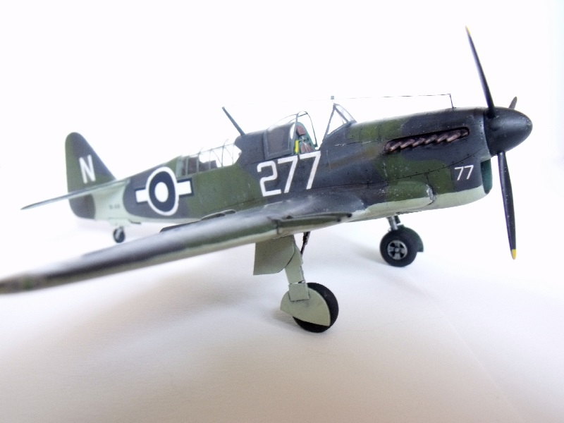 Fairey Firefly F. Mk. I (Special Hobby - 1/72ème) 361513FaireyFirefly101