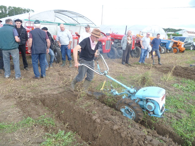 VIARMES 2015 CONCOURS DE LABOUR AUX MOTOCULTEURS - Page 4 362027conc25pg