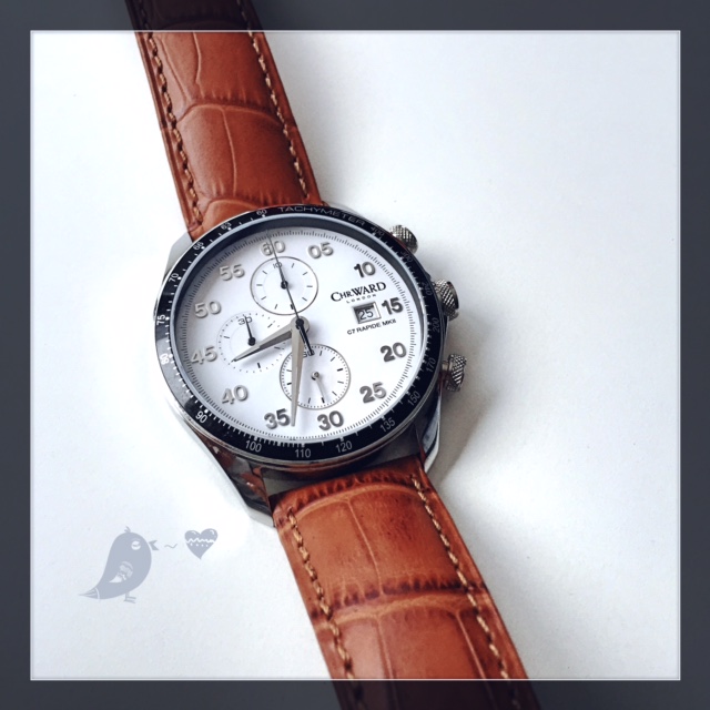 Votre montre du jour - Page 19 364345C7MKII04