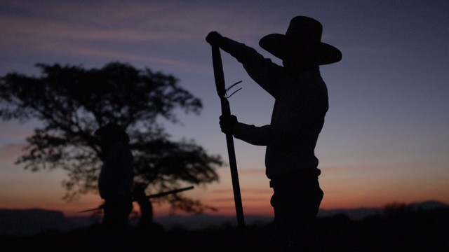 Ford et Jose Cuervo s’associent pour produire des pièces automobiles à base d’agave 365448AgaveSelectsDay100014116Still001