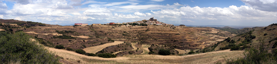 L’Andalousie des champs ( quoi que ! ) 3687311088Ujupano