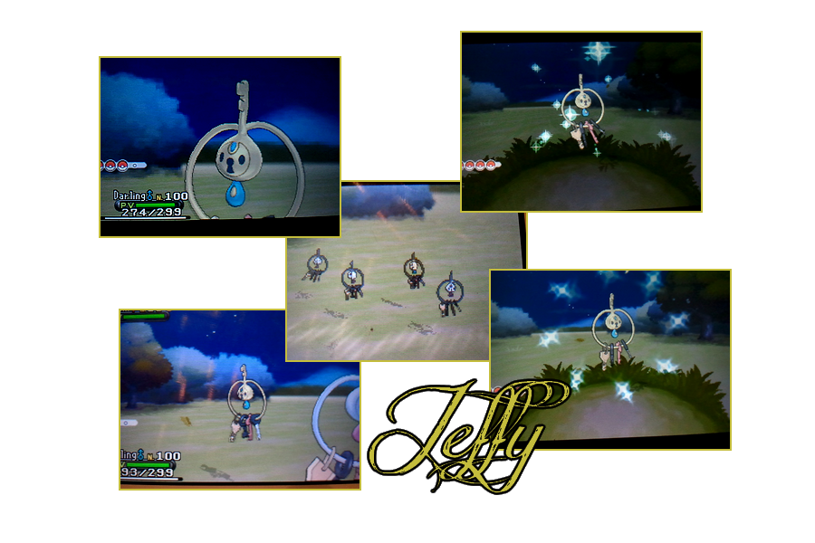 Déclaration de Shiny (1/8192 + 1/4096) - Page 2 371764JEFFY