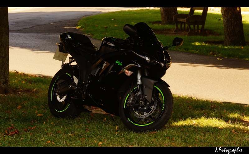 ZX6R 2008 Noir et vert / décata p.10  - Page 5 372390DSC02366copie