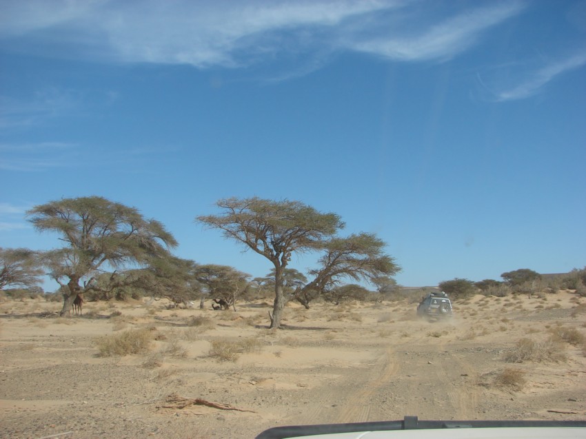 Le Grand Sud du Maroc - II 374007070