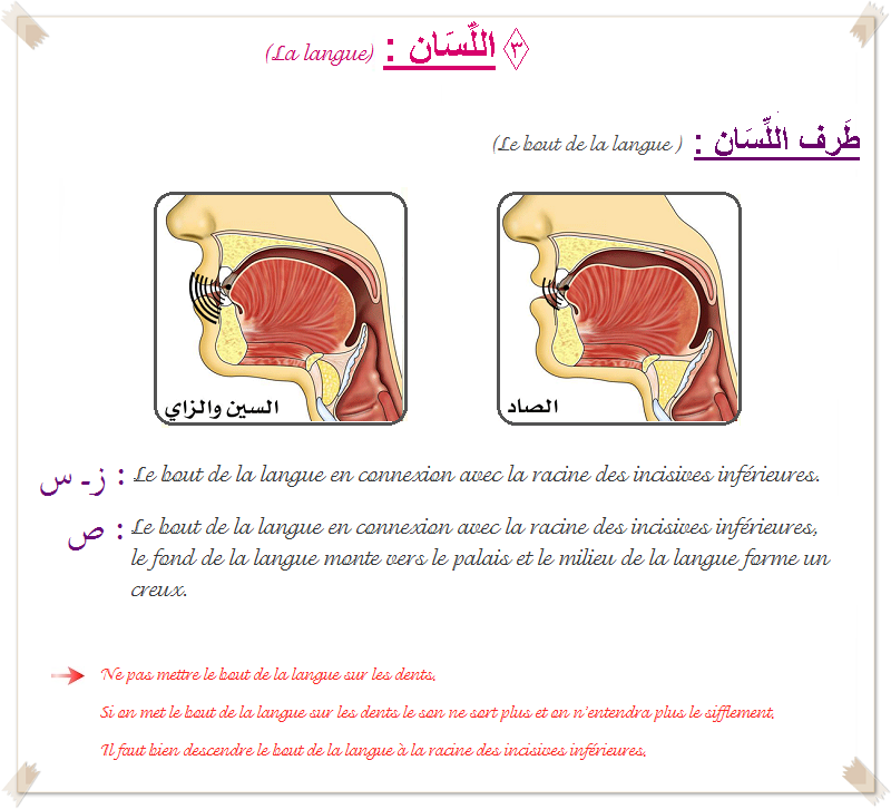 résumé théorie 3759733allissansinzSoadp8