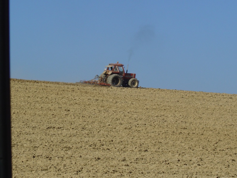 Photos de vos tracteurs - Page 13 378338DSC03050