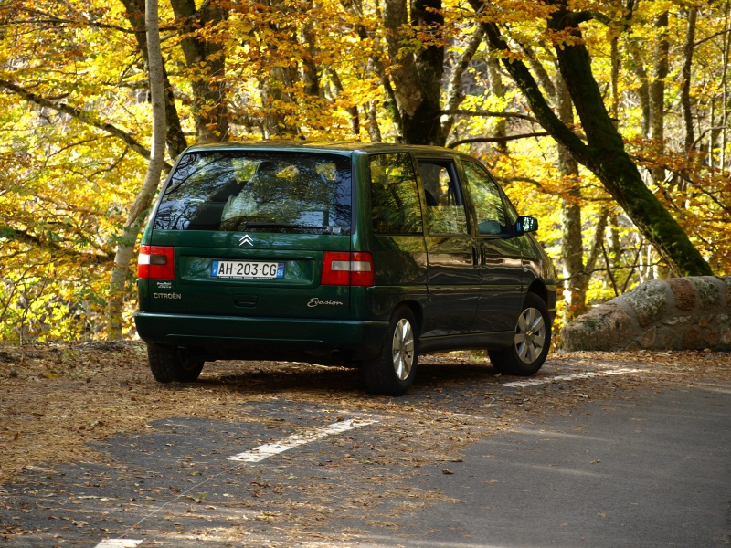 Présentation des mes autres autos... - Page 6 379781PA306367