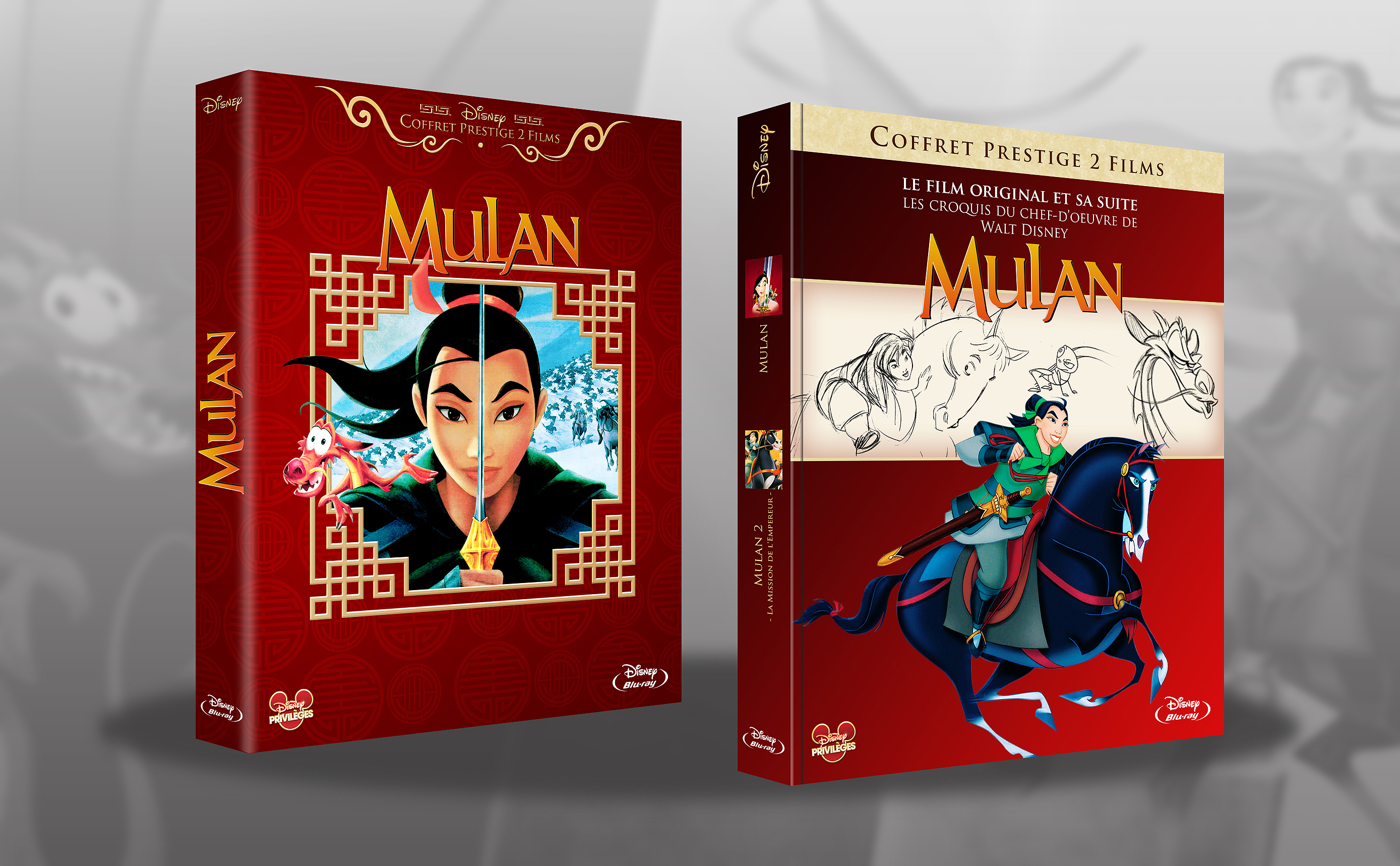 fan cover - Les jaquettes de fans (DVD, Blu-ray) - Page 20 382219coffretmulan