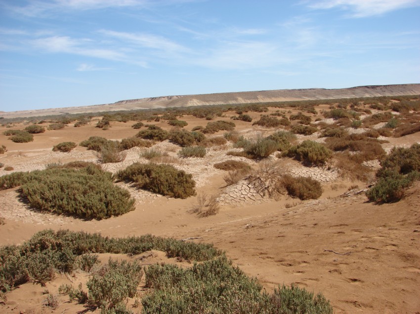 Le Grand Sud du Maroc - II 382521036