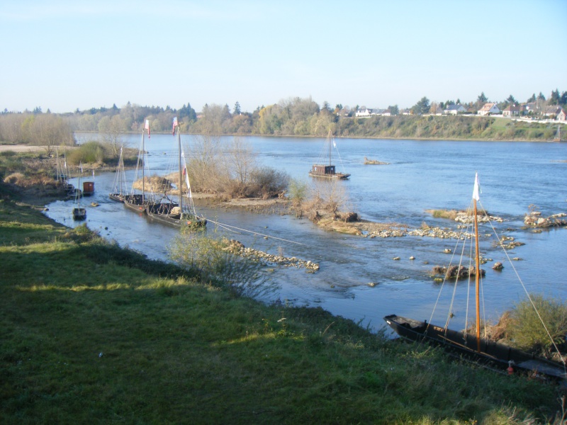 Bords de Loire - Jargeau d'une rive à l'autre (45) - samedi 3 décembre 2011 385325DSCF2197