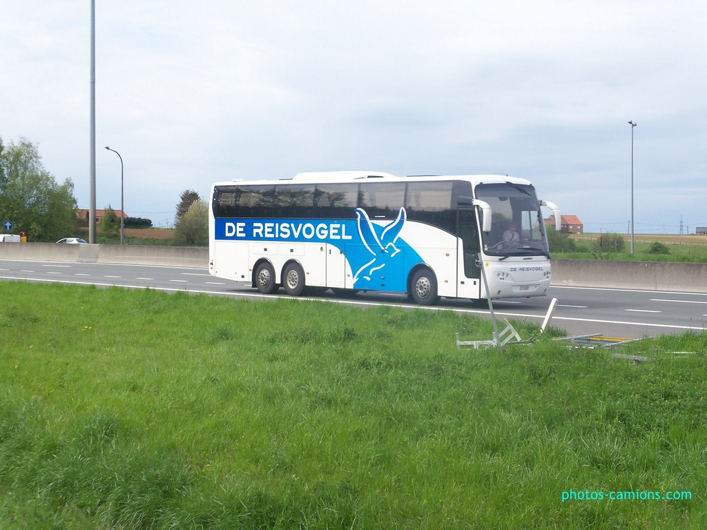  Cars et Bus de Belgique - Page 10 391519photoscamions30Avril2012148