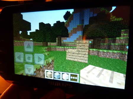 Minecraft Pocket Edition 392166P1010125