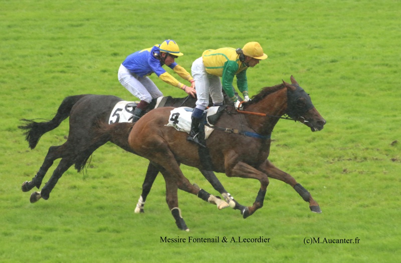 Photos Auteuil 23&27 juin 2016 - Page 2 3935205J6A4637