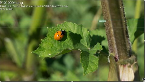 Macro pour G3 394804canon250