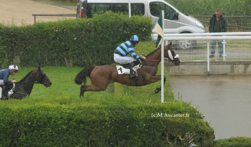 Photos Auteuil 23&27 juin 2016 - Page 2 3972105J6A4622