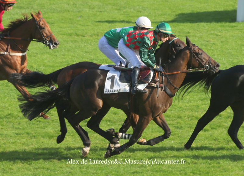 Photos Auteuil 9-10-2016 3978435J6A7887