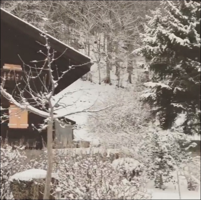 Mika à la neige en Suisse 399465mikaenSuisse6