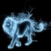 Les Patronus 399723lionConvertImage