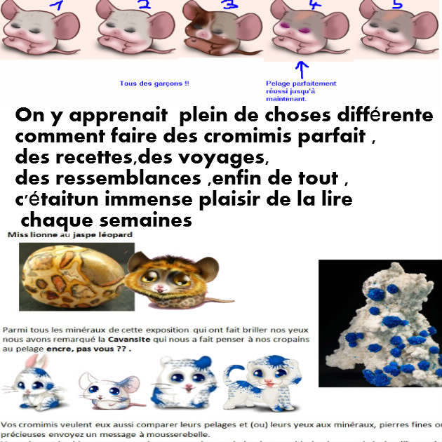 Le Cromimi-Nut n°43 405738bloggif5a156a95e25c0