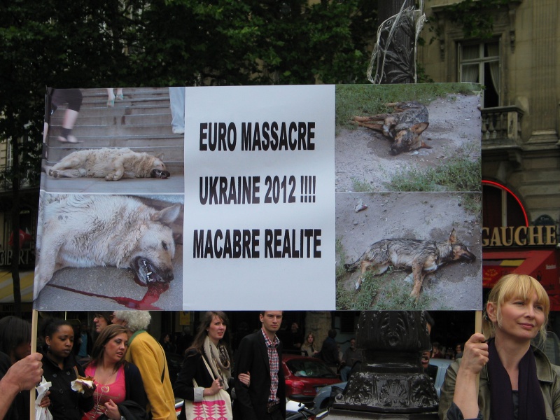 11 - Manifestation contre le massacre des animaux en Ukraine - 9 juin 2012 407344IMG9226