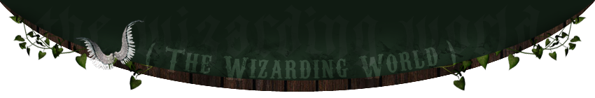 The wizarding world 407701Sidebarbas