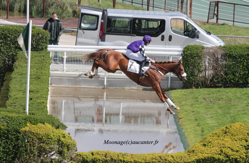 Photos Auteuil 27-04-2016 - Page 2 408998IMG1190