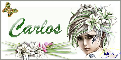 Nonbres con C 4094342Carlos