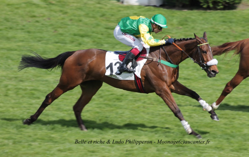 Photos Auteuil 27-04-2016 - Page 2 415502IMG1204